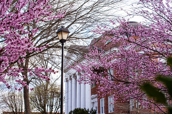 Spring on campus