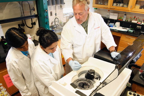Graduate students conducting research with professor of environmental science and director of the Center for Water Quality, Thomas Shahady