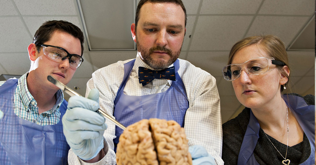 A professor and two students examine a brain.