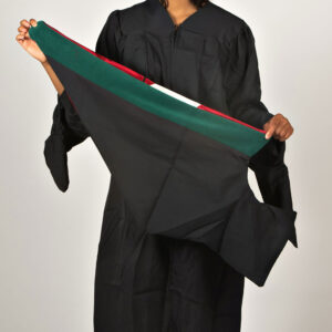 Master of PA Medicine regalia - hood