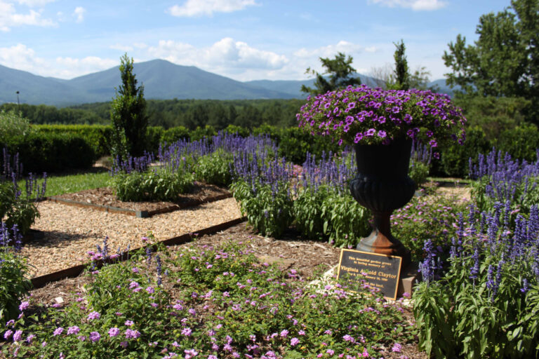 A garden with flowers and mountains in the background