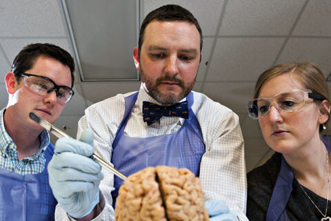 A professor is explaining something about a human brain that's on a table in front of him, as two of his students look on