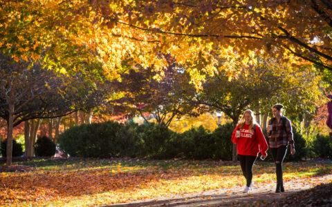 Two female students walking underneath a tree sporting fall foliage on a sunny day
