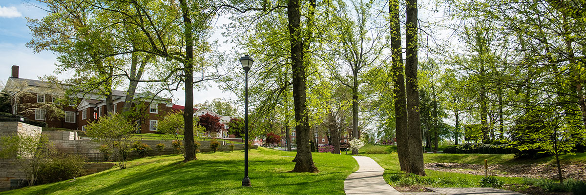 The University of Lynchburg campus in spring