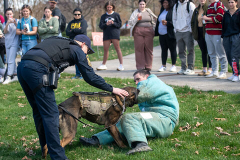 Criminology-Jobs-Featured-Image