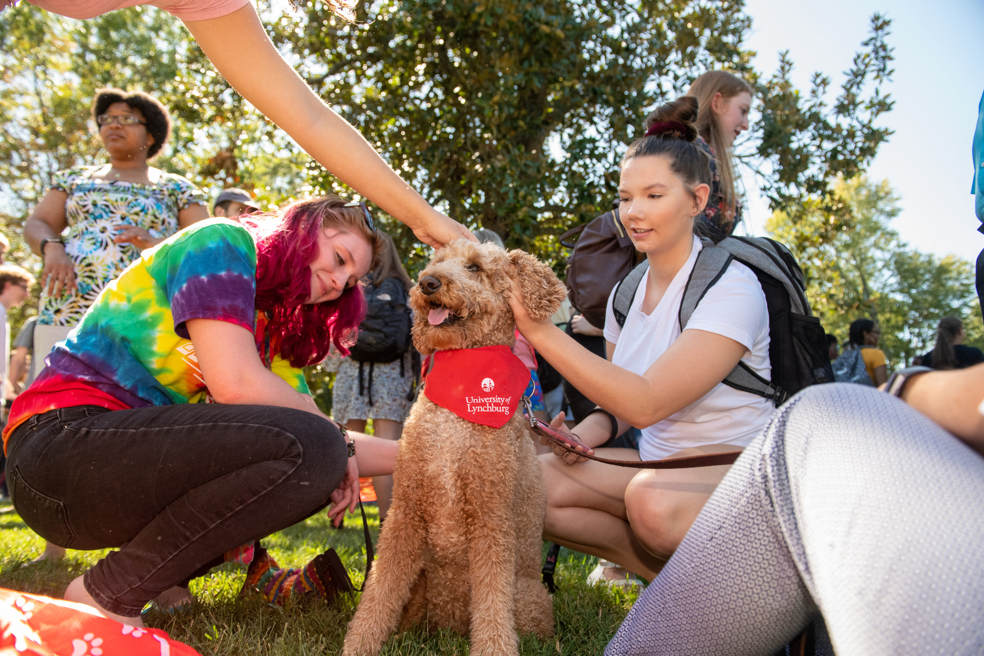 Two girls pet a dog on the dell