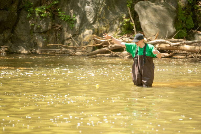 A person in chest waders standing in a shallow, rocky stream, gesturing as part of a fieldwork activity in a wooded area.