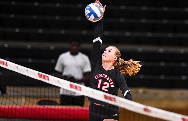 A female volleyball player from Lynchburg, wearing a black uniform with the number 12, is about to hit a volleyball over the net during an indoor match.