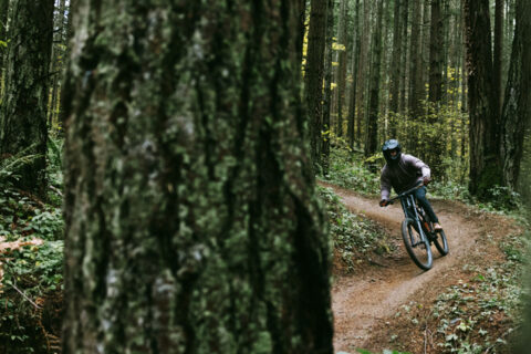 Mountain biking down a hill.
