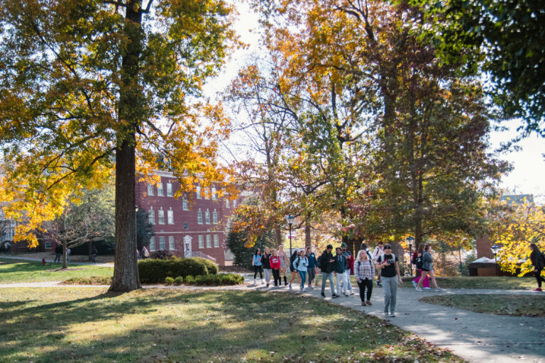 Fall