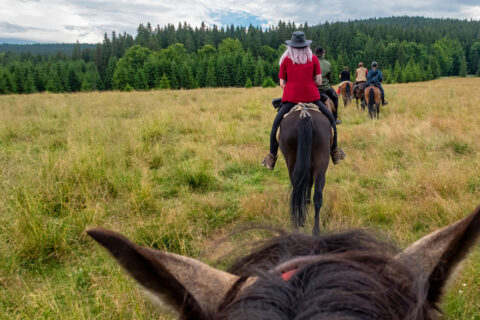 POV of someone on horseback.