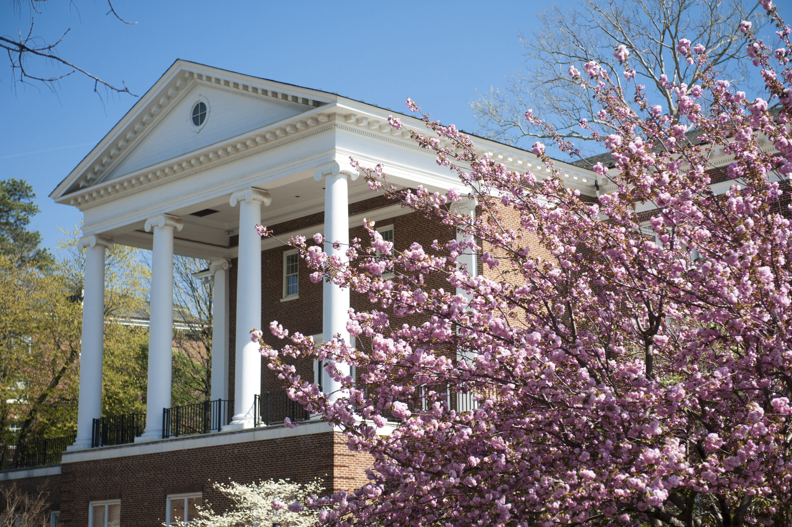 Spring blooming tree with Snidow Chapel in background