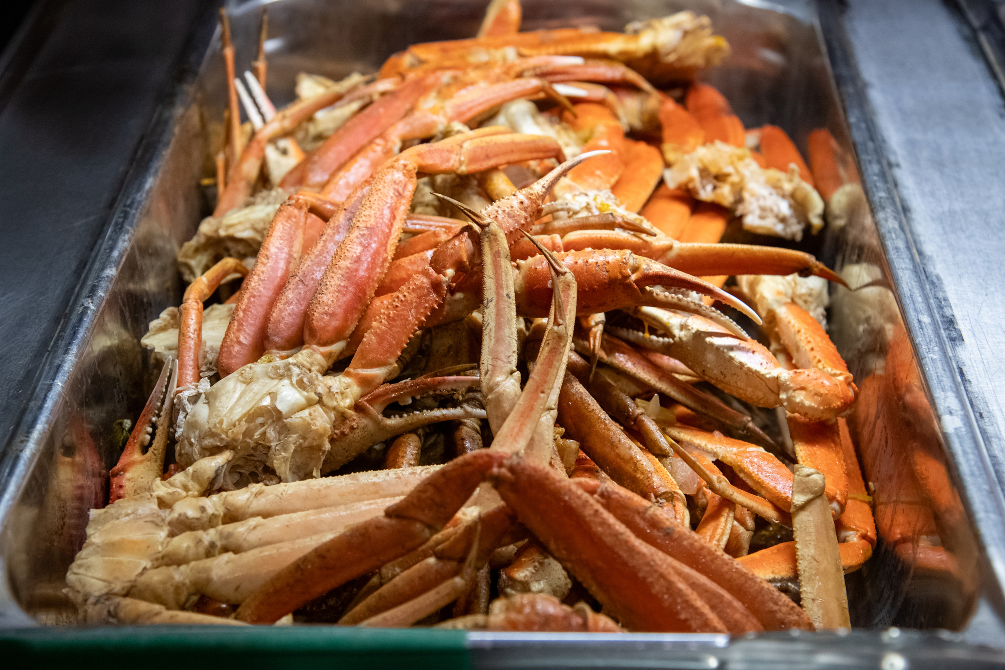 RS63017_2024329-521-lpr