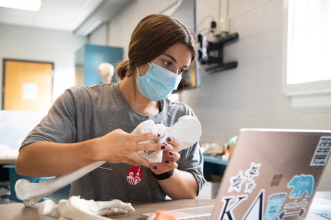 Claire Jonas works on a fake bone during her anatomy lab
