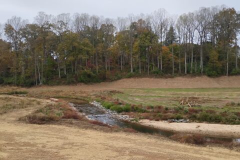 College Lake Wetland autumn 2025