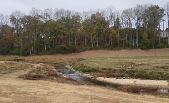 College Lake Wetland autumn 2025