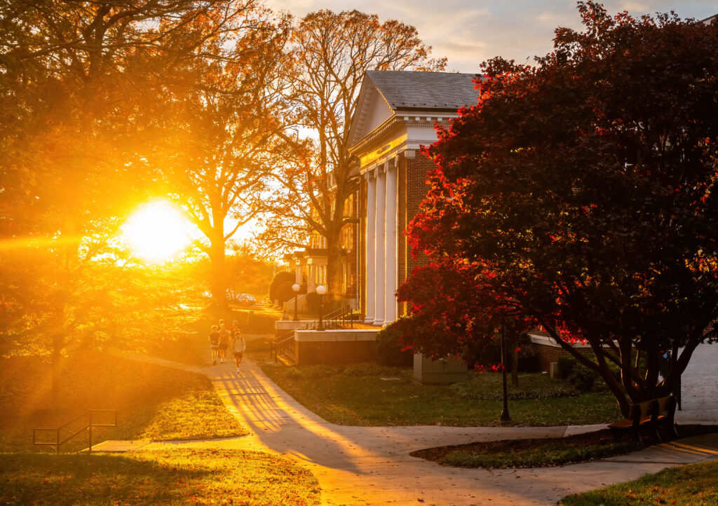 The sun shining through the trees beside Hopwood Hall