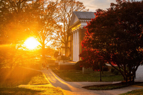 The sun shining through the trees beside Hopwood Hall