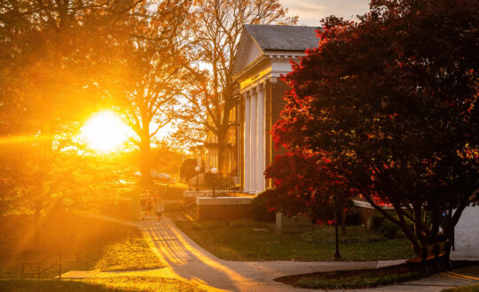 The sun shining through the trees beside Hopwood Hall