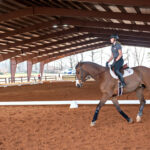 Horse and rider at University of Lynchburg equestrian center
