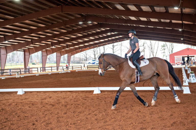 Horse and rider at University of Lynchburg equestrian center