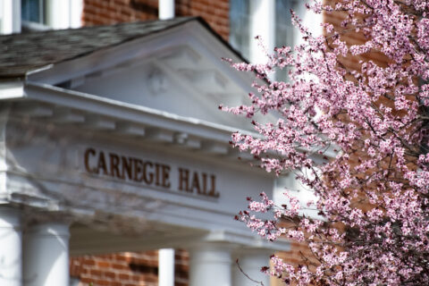 Carnegie Hall in spring