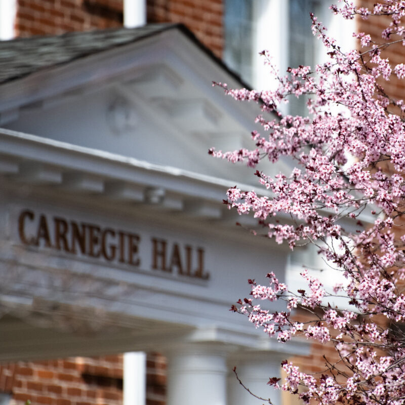Carnegie Hall in spring