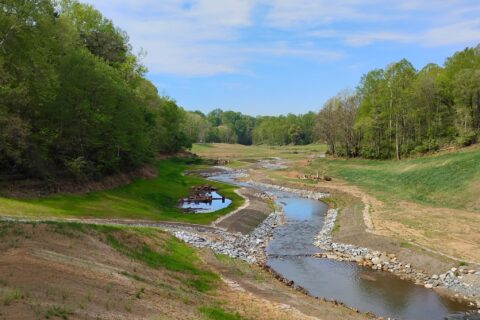 Blackwater Wetlands