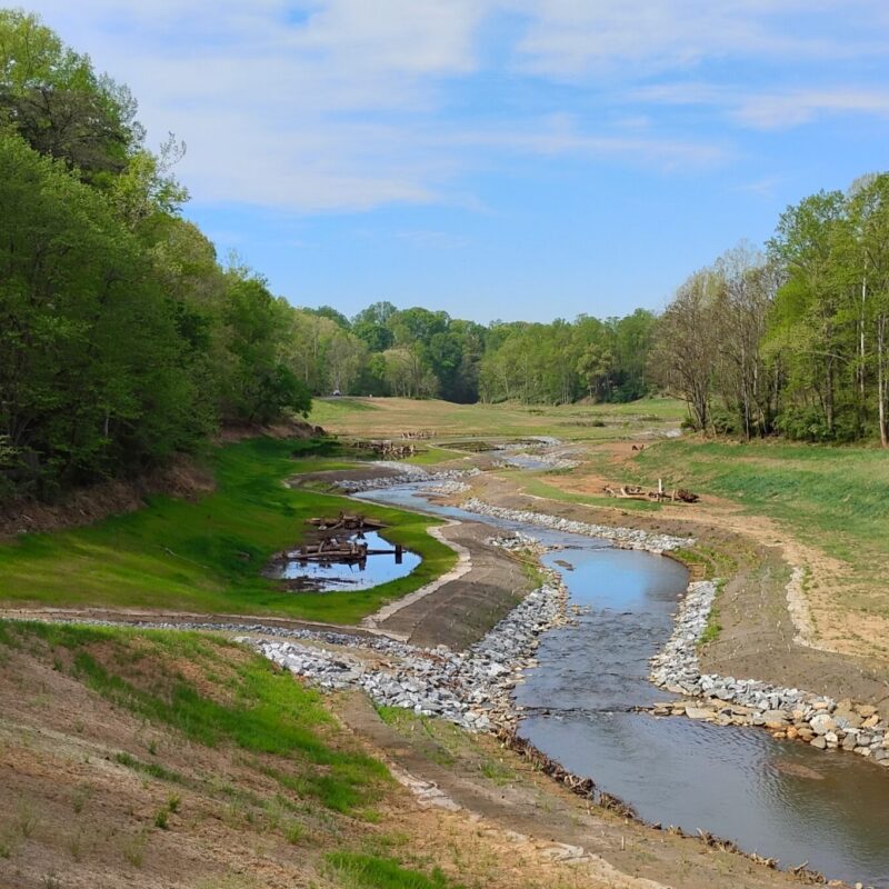 Blackwater Wetlands