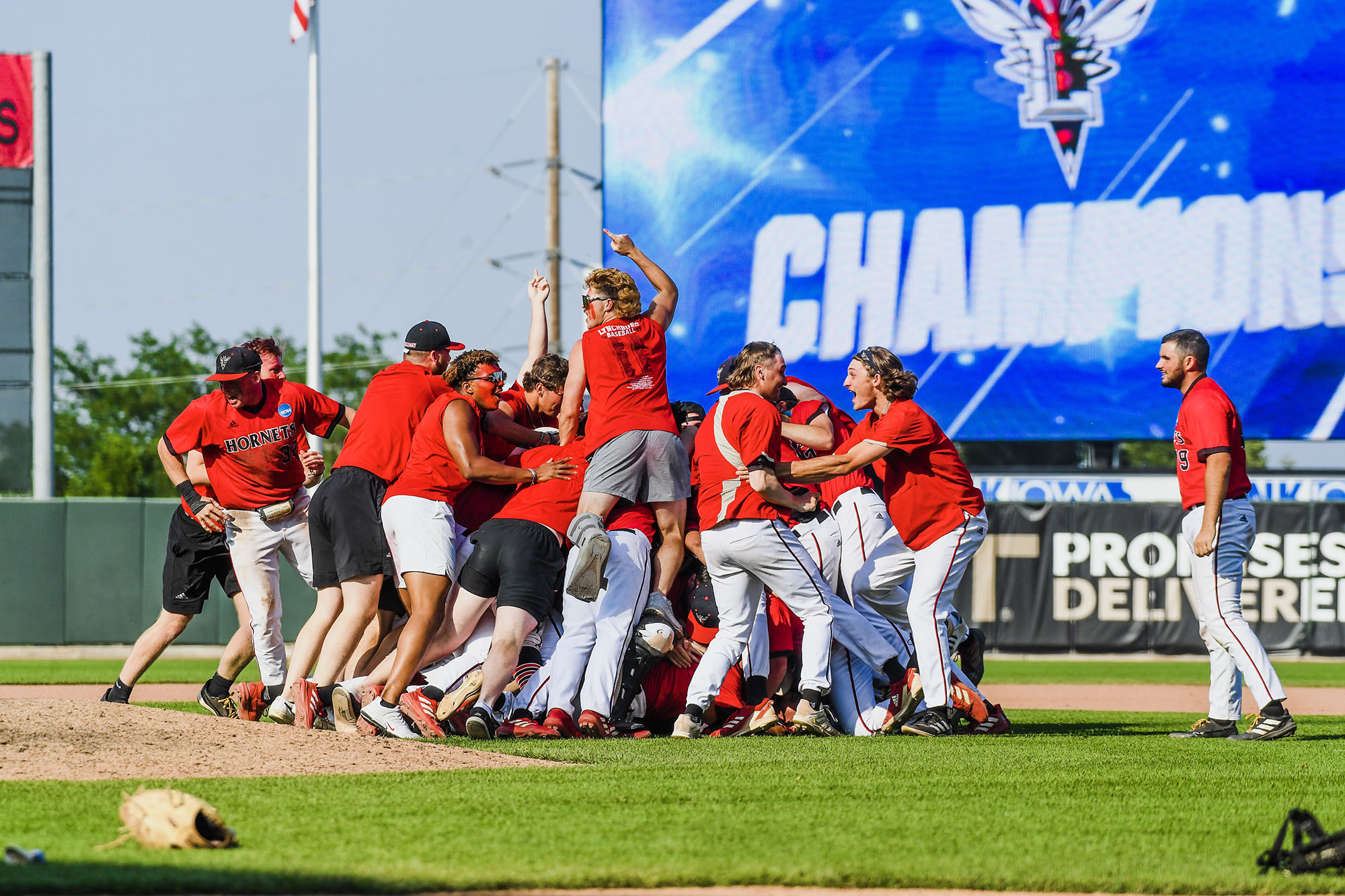 Lynchburg's baseball team huddles together immediately after they win the NCAA Division III national championship in Iowa.