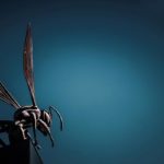 Hornet statue with a blue background
