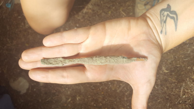 Bone lever discovered at Gangivecchio in 2019.
