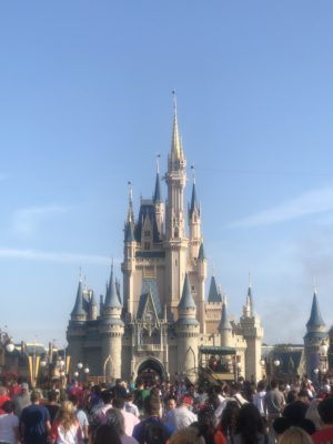 A crowd at Disney World