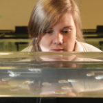 Katie Roderick looks at fish in a tank
