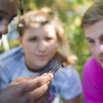 Students look at an insect being held by a pair of tweezers as they study wildlife in a stream