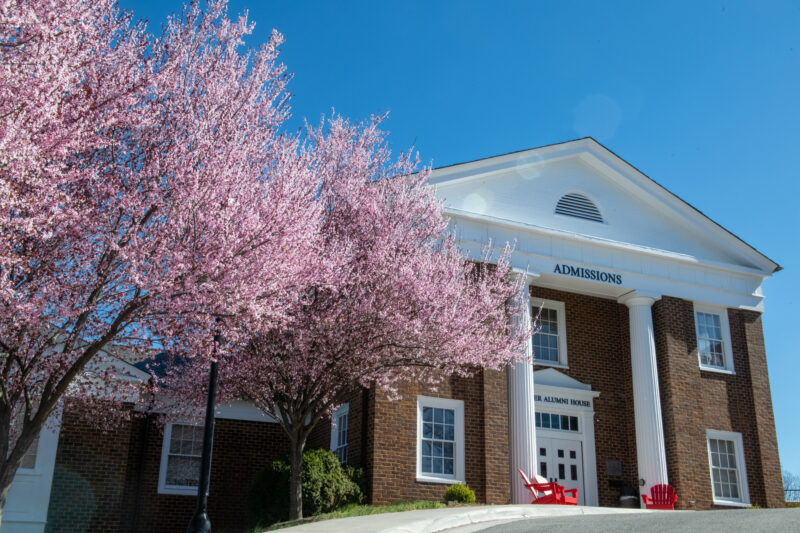 A tree with pink blossoms in front of a red brick building with white columns under a blue sky