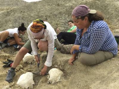 Professor Brooke Haiar points to a fossil for a student