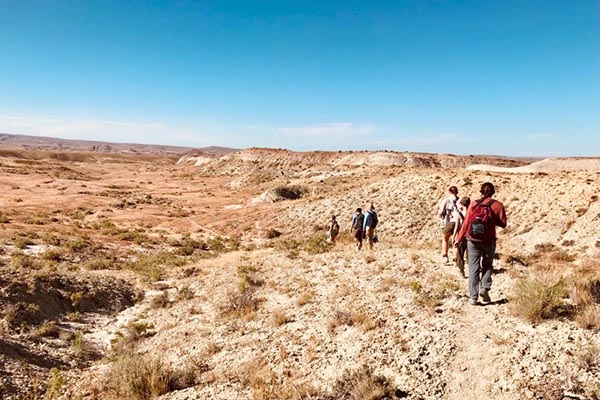 NSF GeoPaths grant to fully fund dino dig, internships for eligible students 