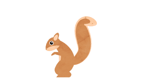 A running squirrel