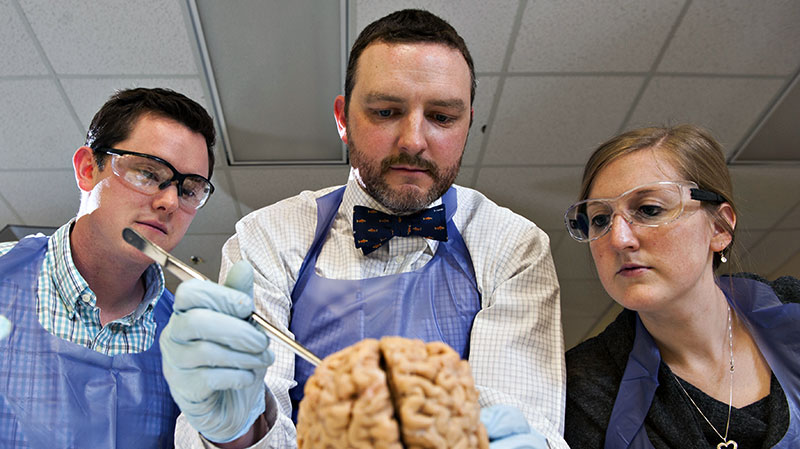 A professor is explaining something about a human brain that's on a table in front of him, as two of his students look on