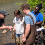 A professor is showing four of his students how to use a measuring device. They are standing at the edge of a shallow river.
