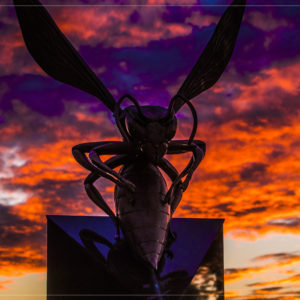 The Hornet statue against a purple and red sky at sunset thumbnail