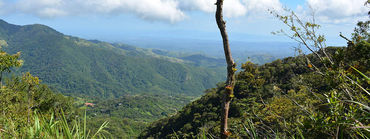 Bellbird Biological Corridor, Costa Rica