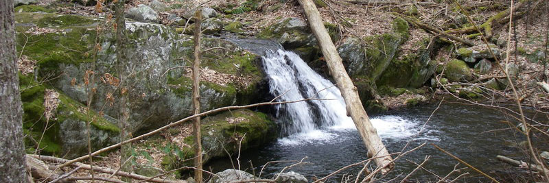 Banner showing waterfall at the Apple Orchard trail