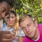 Three college students are looking at a bug that one of the students is holding with tweezers.