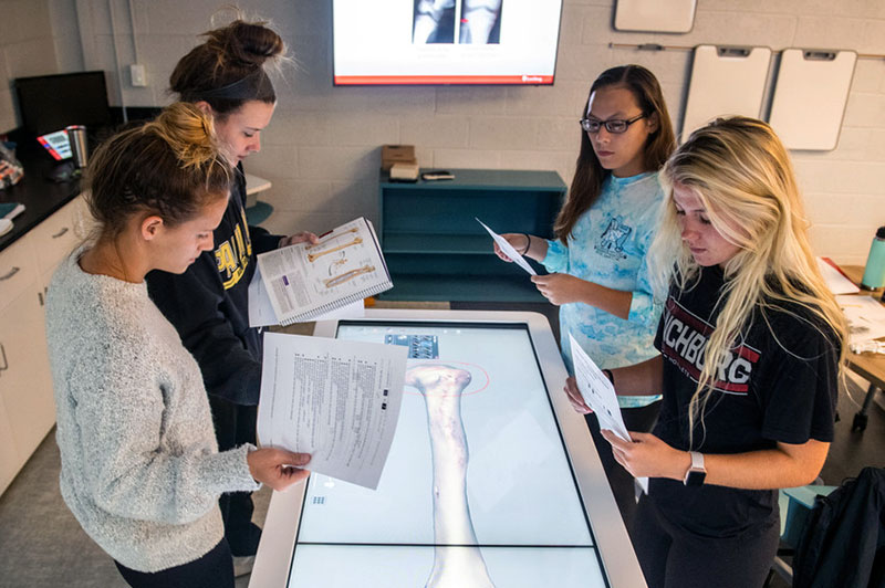 Students standing around an Anatomage table