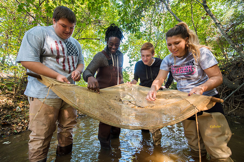 A group of four students gathering water samples in a creek