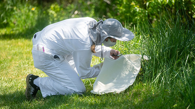 A woman in field gear bends over a cloth in the grass