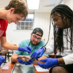 Three students in a classroom are examining a brain