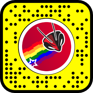 Snapcode rainbow hornet logo